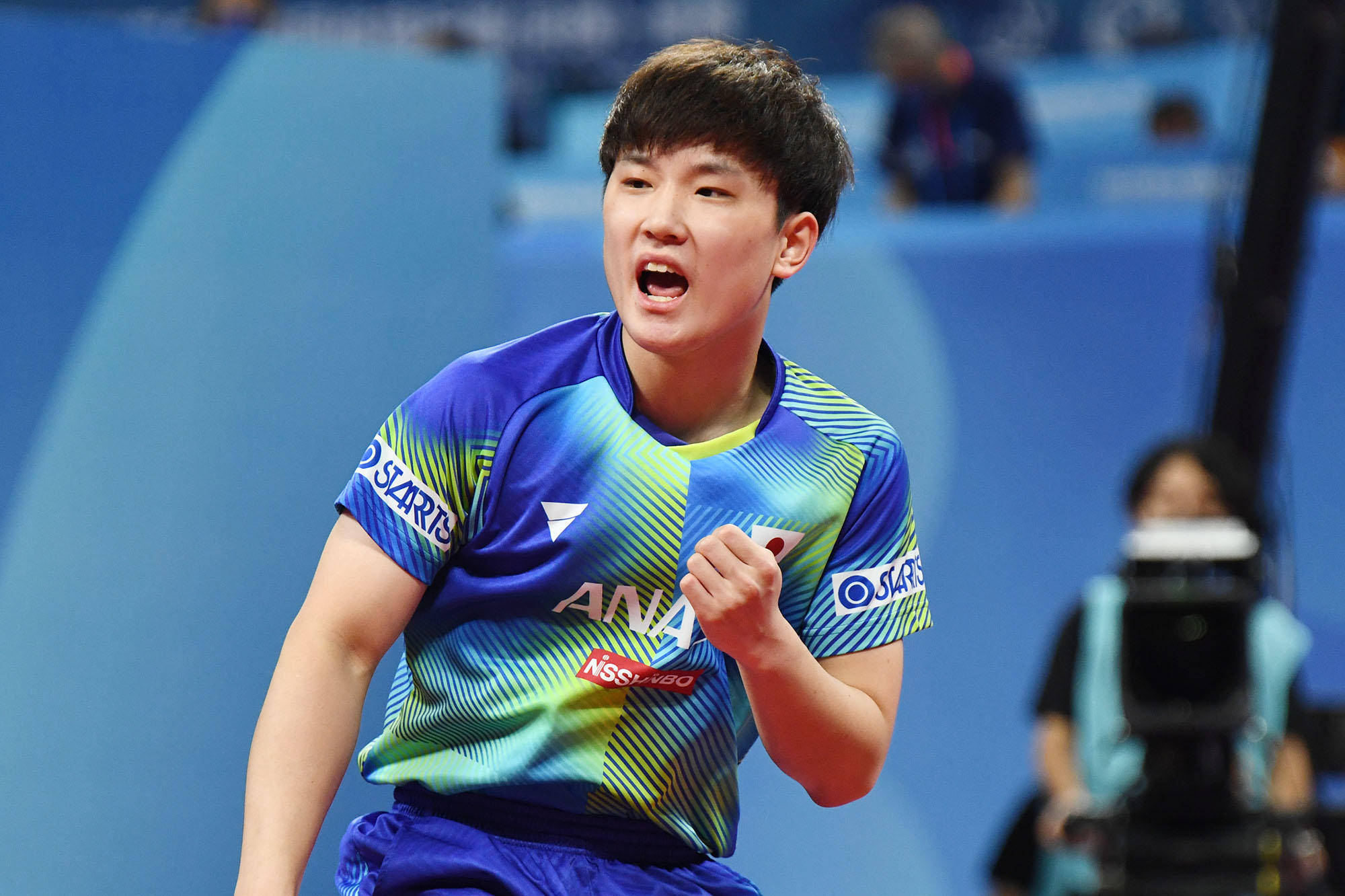 文化交流的 文化交流的